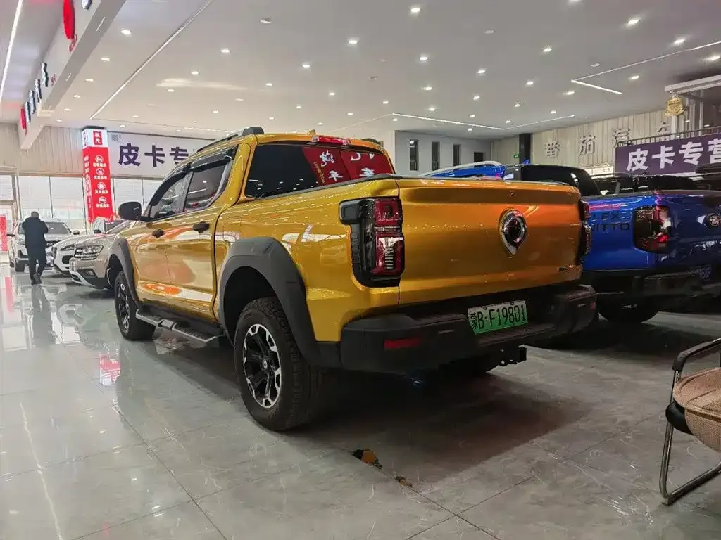 Great Wall Shanhai Cannon Hi4-T 2025 из CN, фото 2