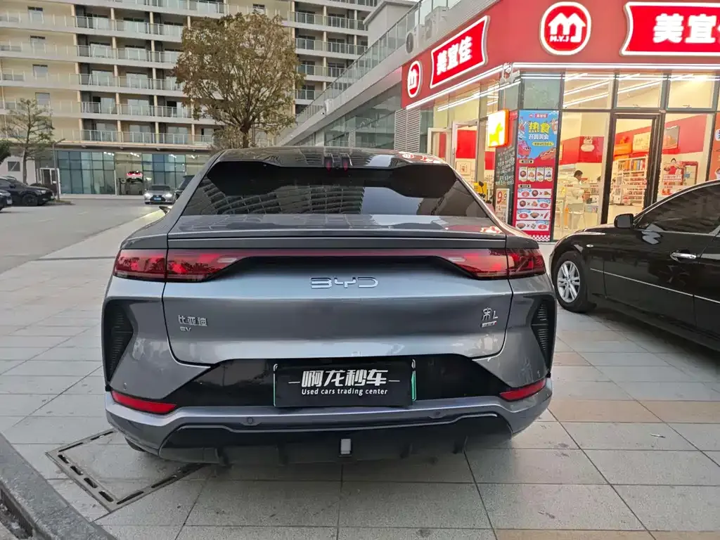 BYD L EV 2025 из CN, фото 4