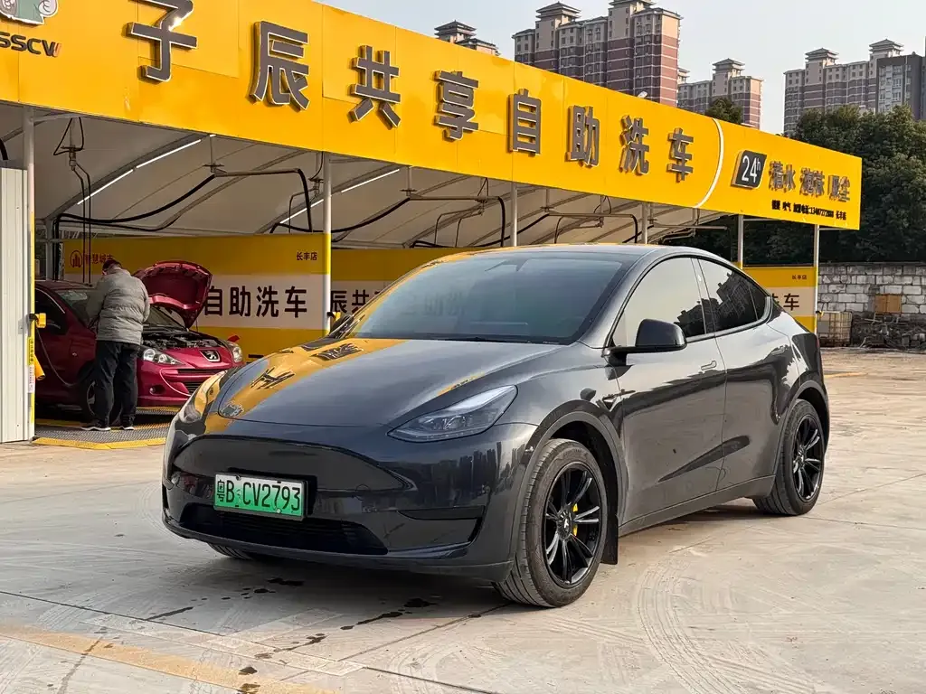 Tesla Model Y — фото 1