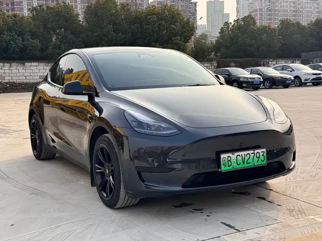 Tesla Model Y — фото 3