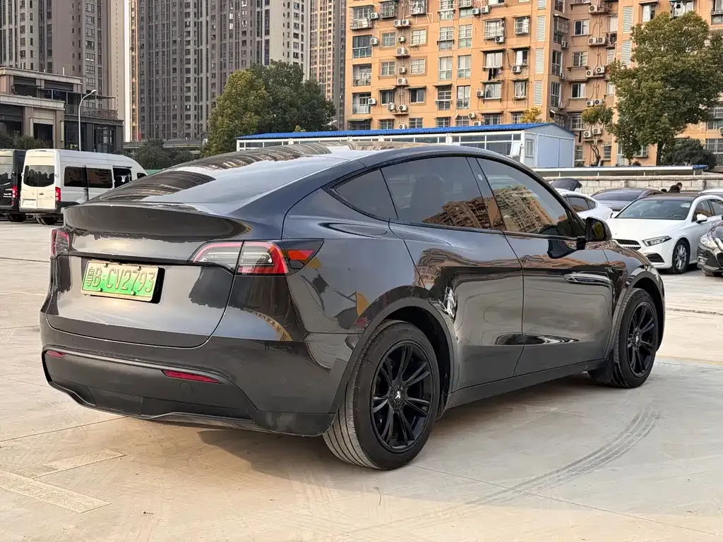 Tesla Model Y — фото 10