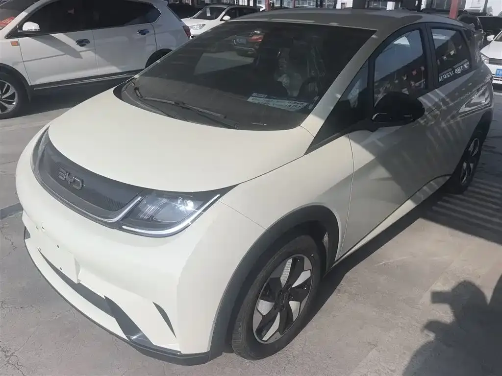 BYD Dolphin 2025 из CN, фото 1