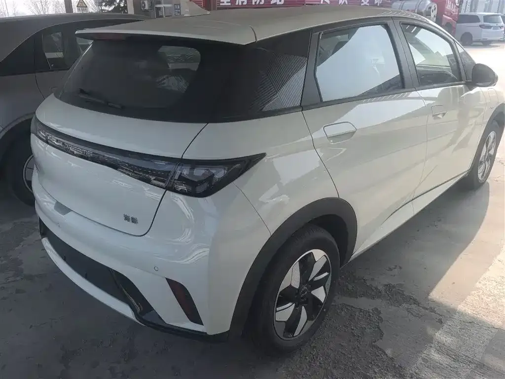 BYD Dolphin 2025 из CN, фото 8