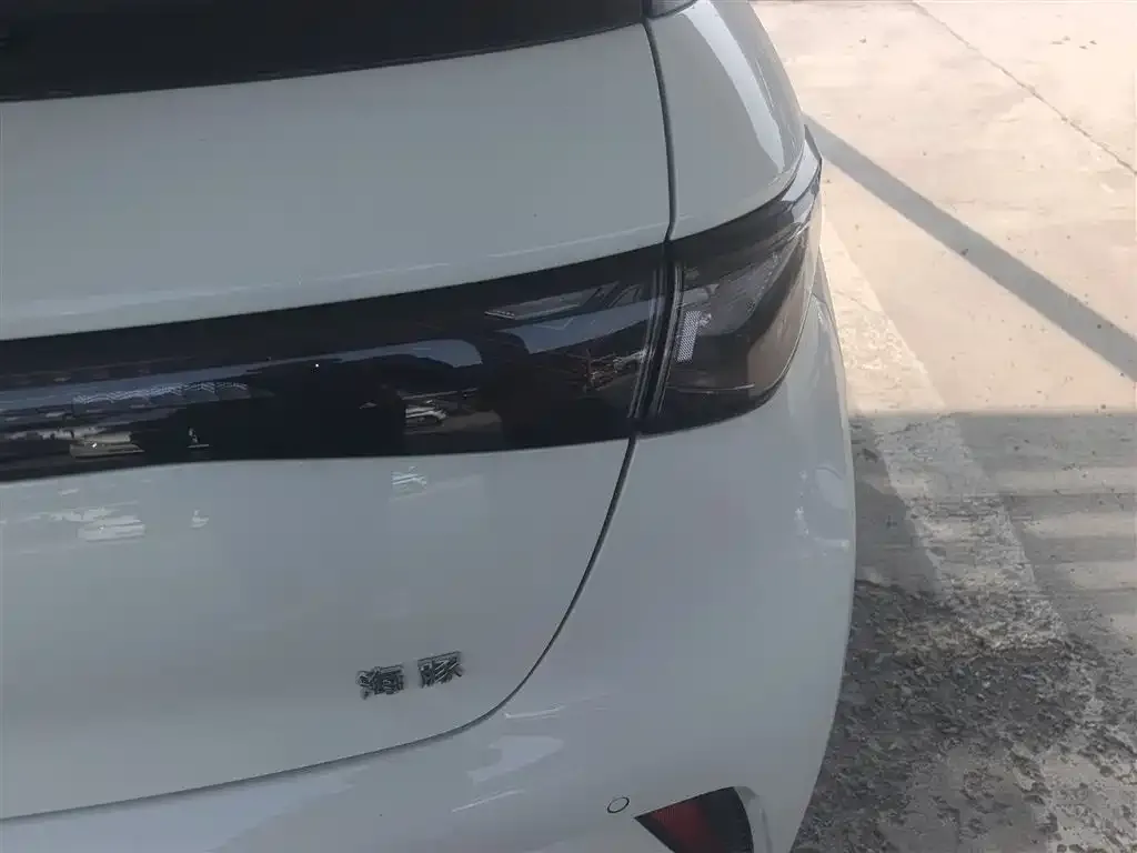 BYD Dolphin 2025 из CN, фото 3