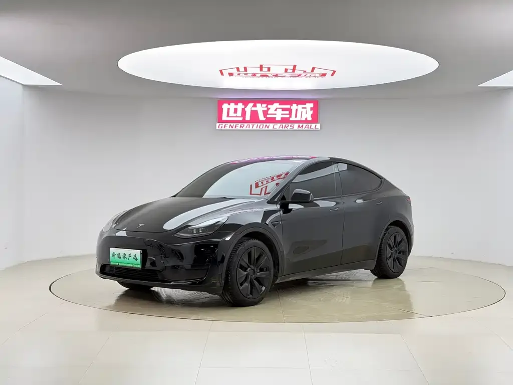 Tesla Model Y — фото 1