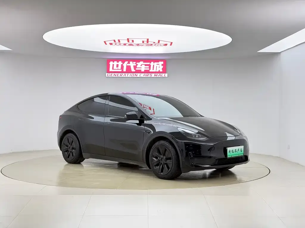 Tesla Model Y — фото 6