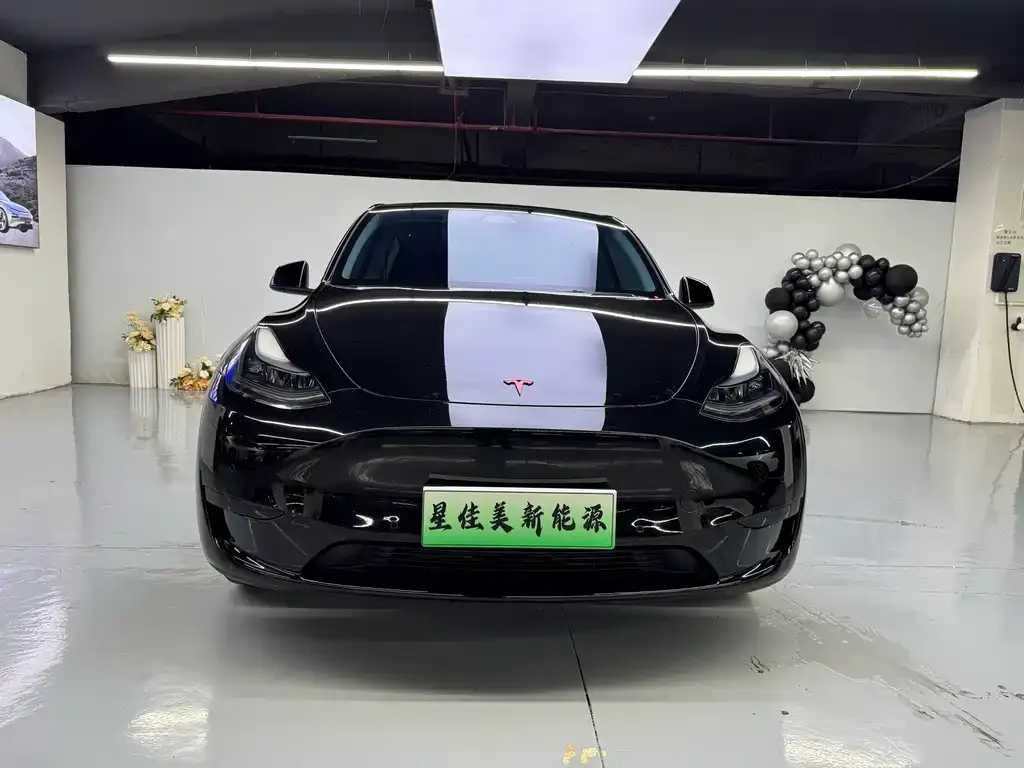 Tesla Model Y 2023 из CN, фото 5