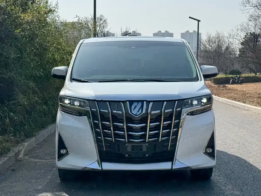 Toyota Alphard 2021 из CN, фото 9