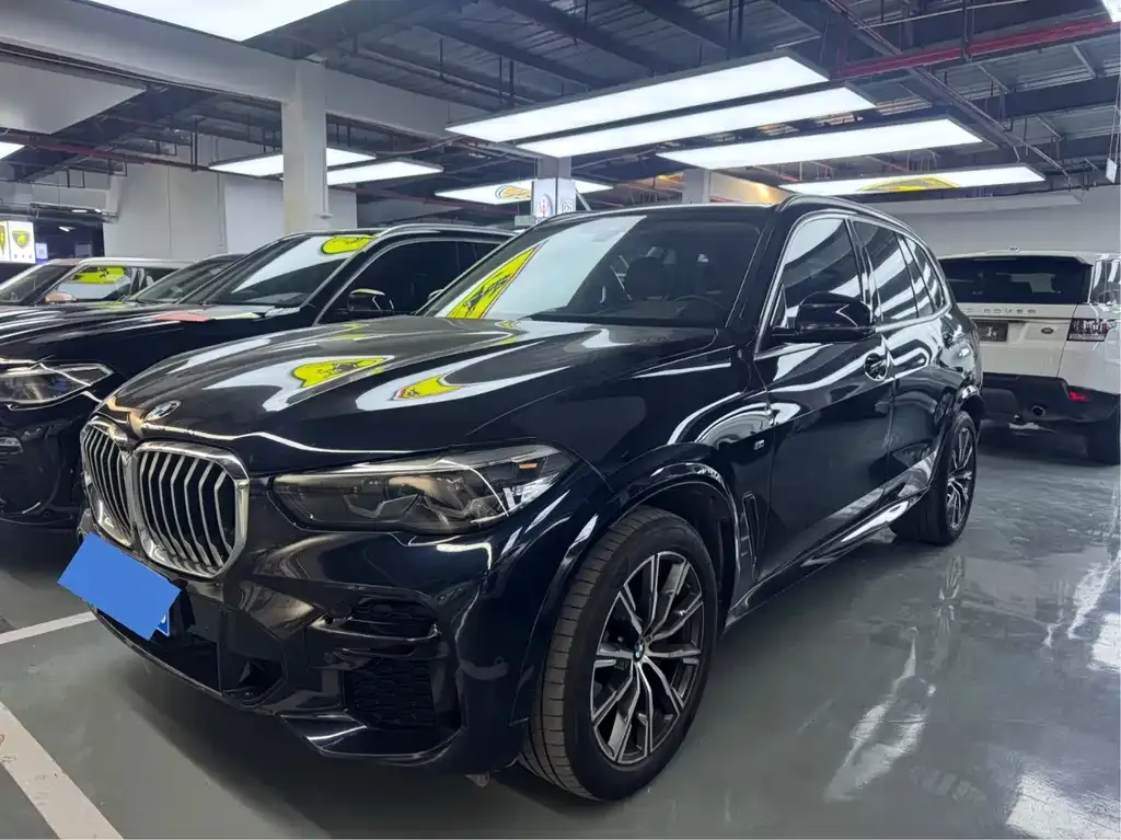 BMW X5 (Import) 2021 из CN, фото 1