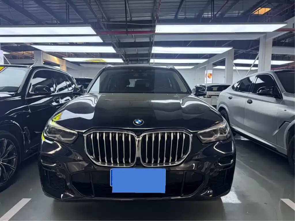 BMW X5 (Import) 2021 из CN, фото 2