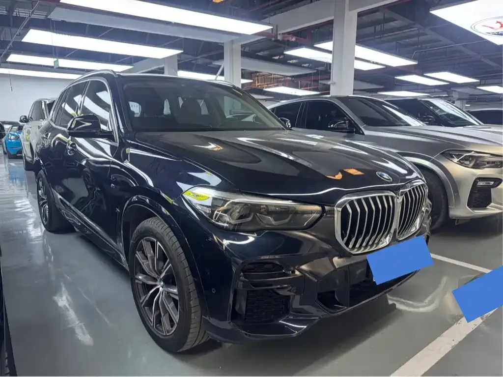 BMW X5 (Import) 2021 из CN, фото 10