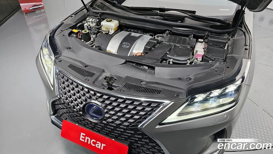 Lexus RX 2021 из KR, фото 2