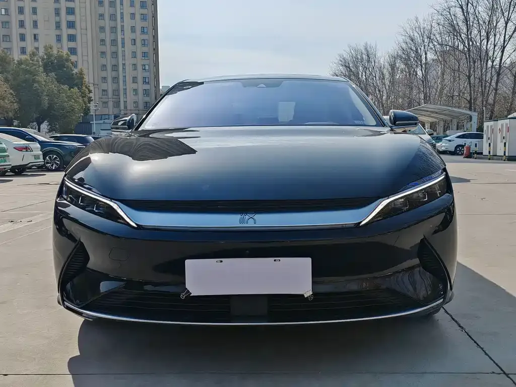 BYD Han 2021 из CN, фото 5