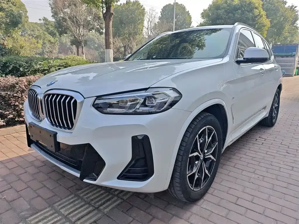 BMW X3 — фото 1