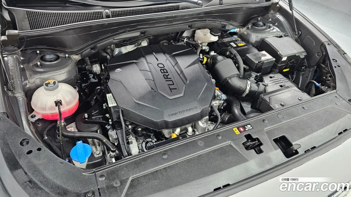 Hyundai Santafe 2021 из KR, фото 8