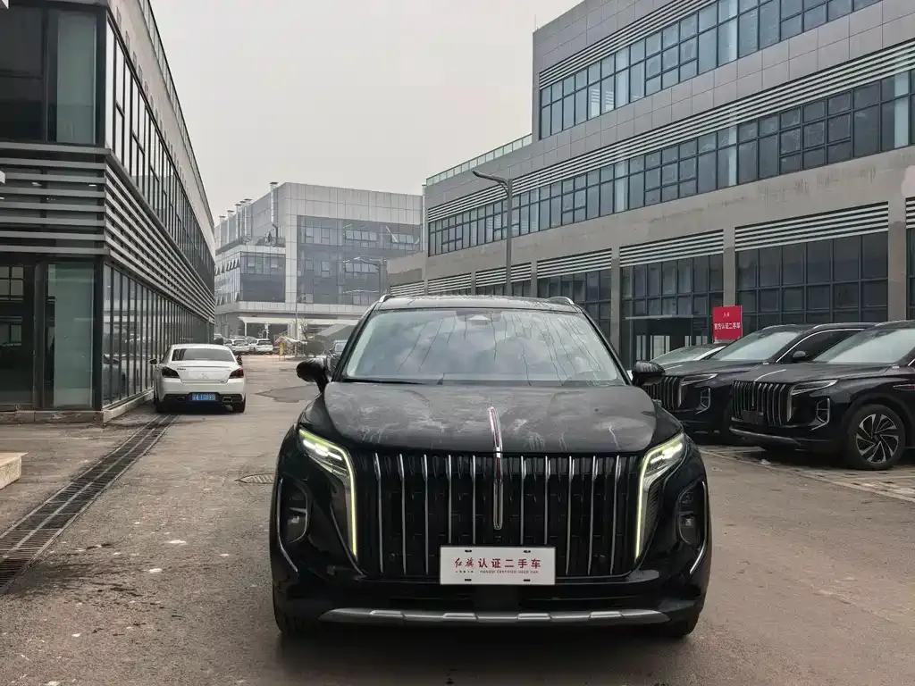 Hongqi HS7 PHEV — фото 8