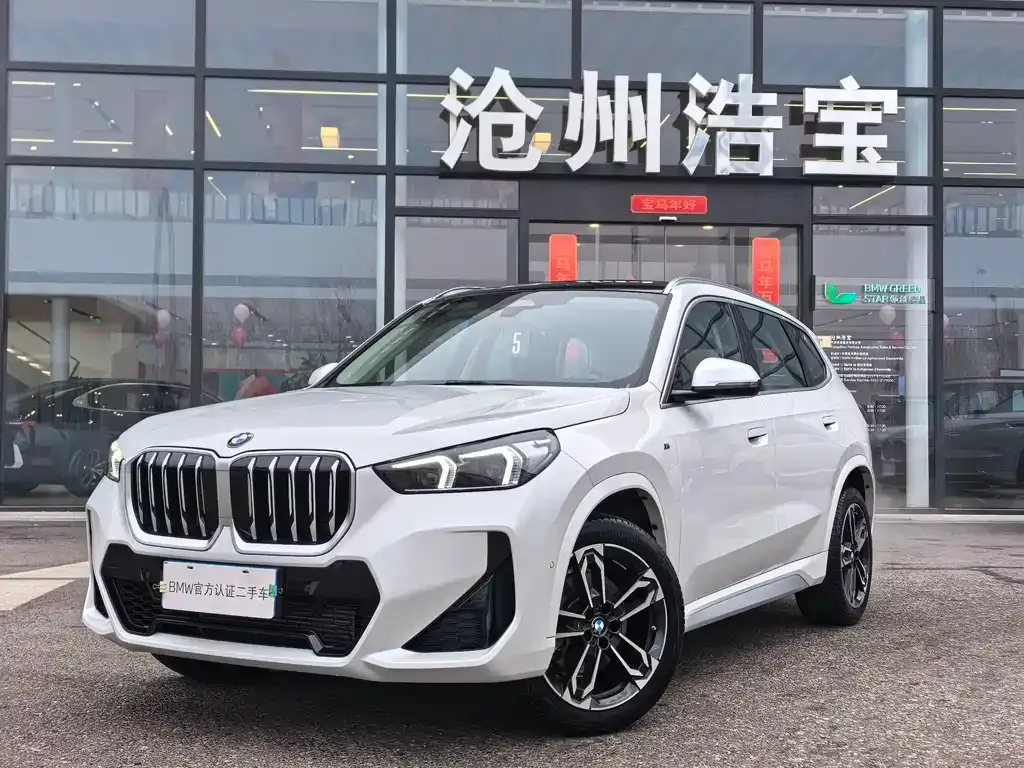 BMW X1 — фото 1