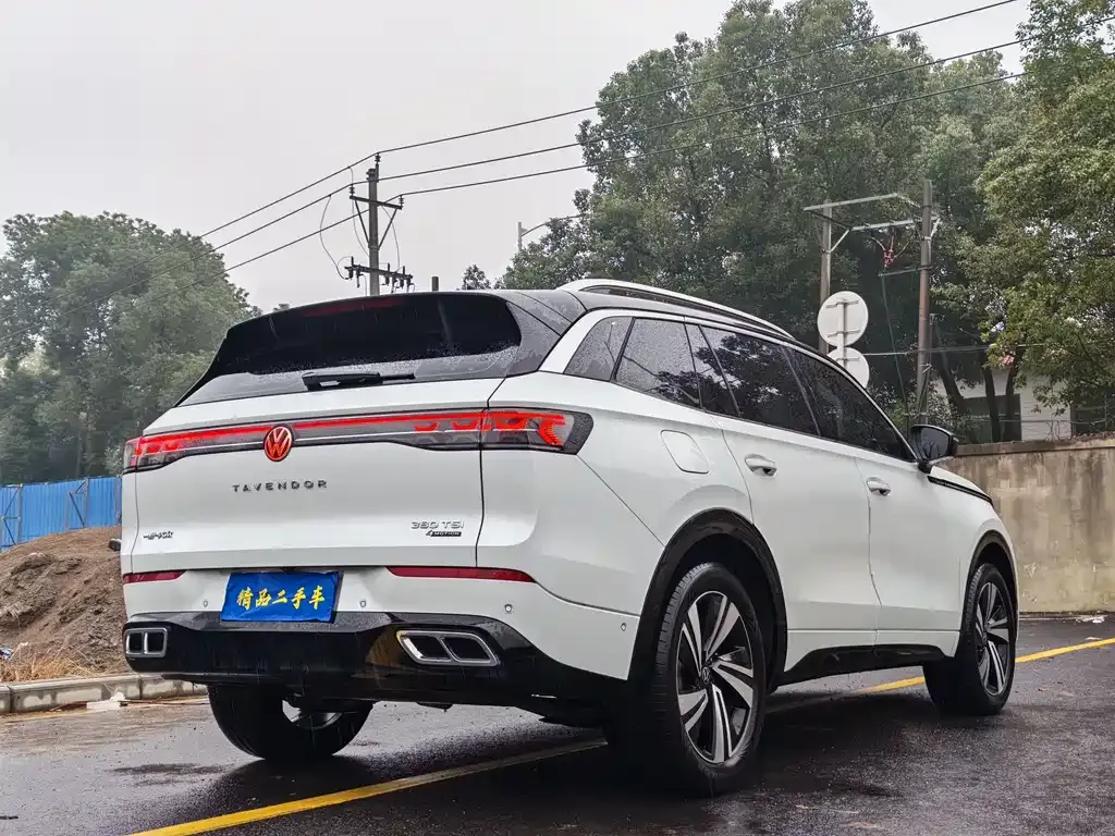 Volkswagen Tavendor 2024 из CN, фото 5
