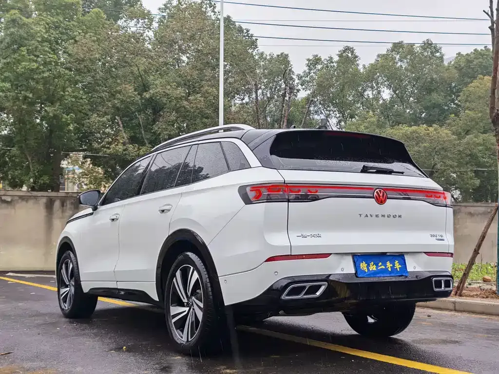 Volkswagen Tavendor 2024 из CN, фото 6