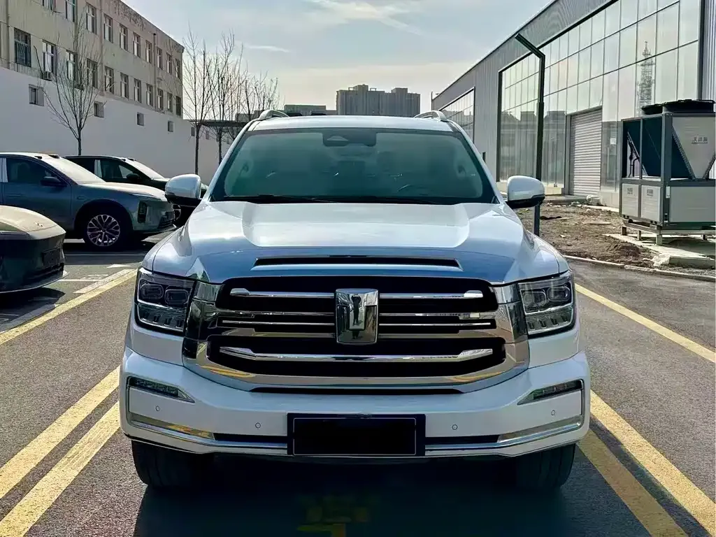 Tank 500 New Energy 2023 из CN, фото 9