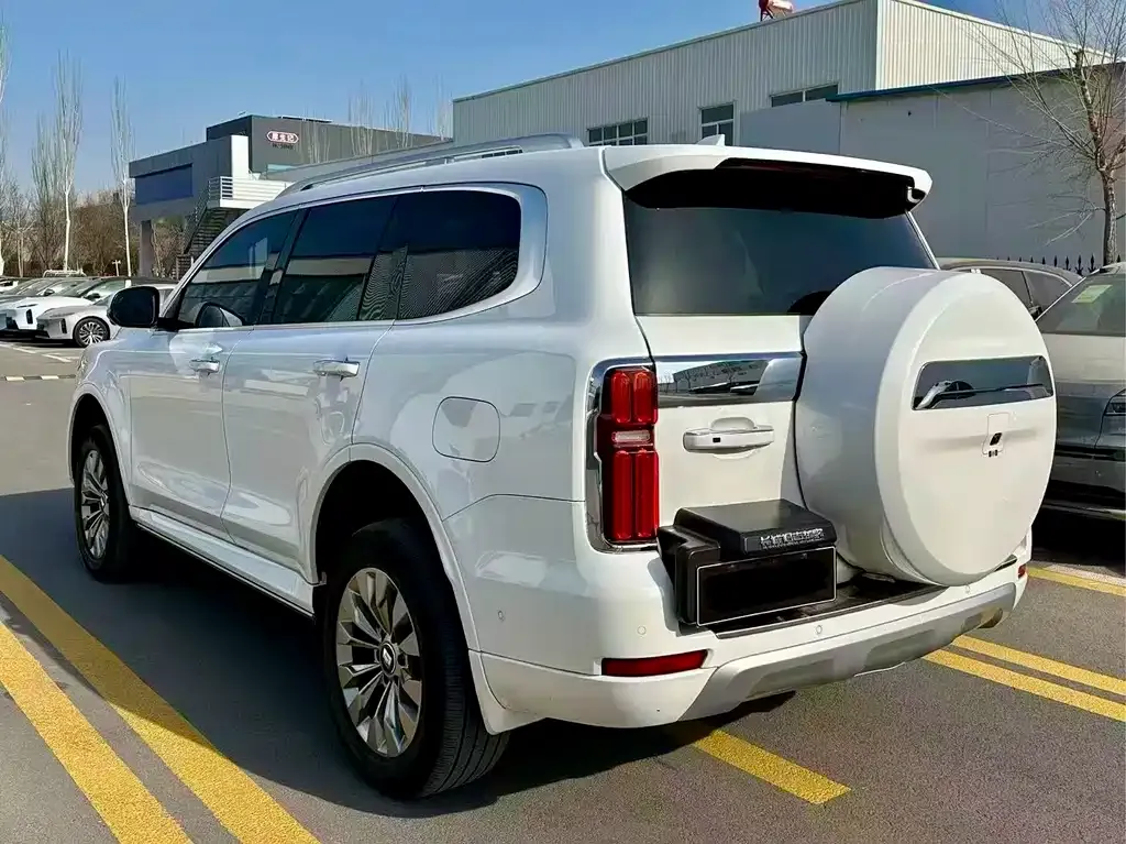 Tank 500 New Energy 2023 из CN, фото 5