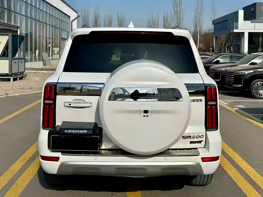 Tank 500 New Energy 2023 из CN, фото 8