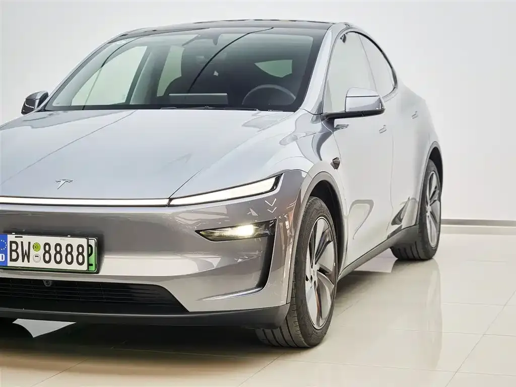Tesla Model Y 2025 из CN, фото 8