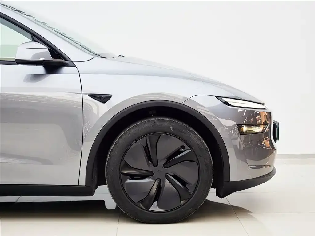 Tesla Model Y 2025 из CN, фото 6