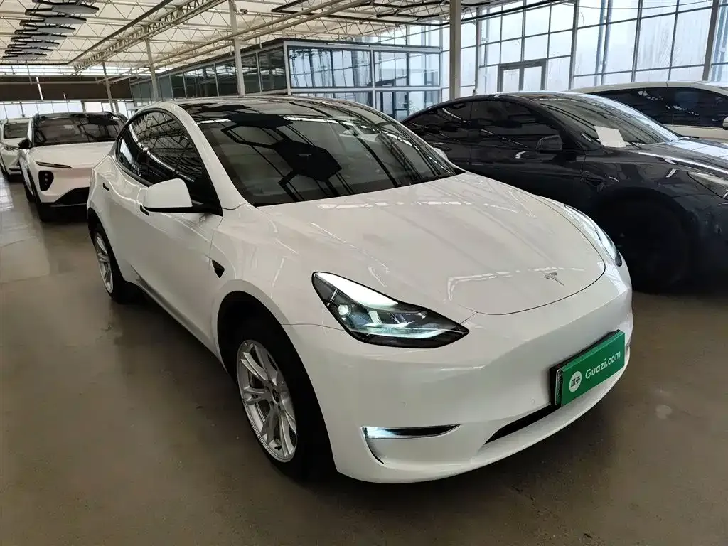 Tesla Model Y — фото 9