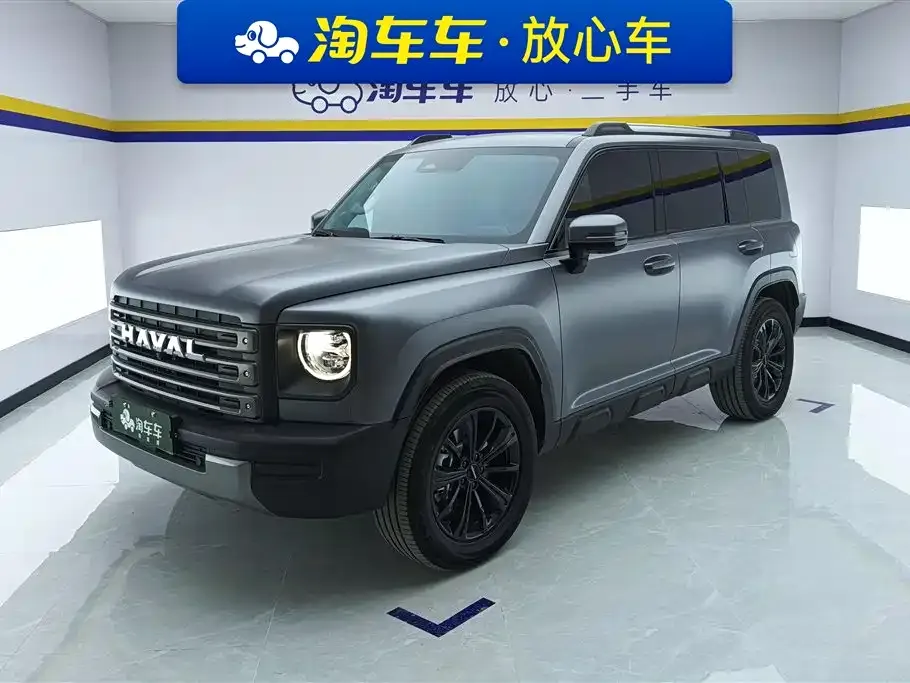 Haval Menglong New Energy 2024 из CN, фото 1