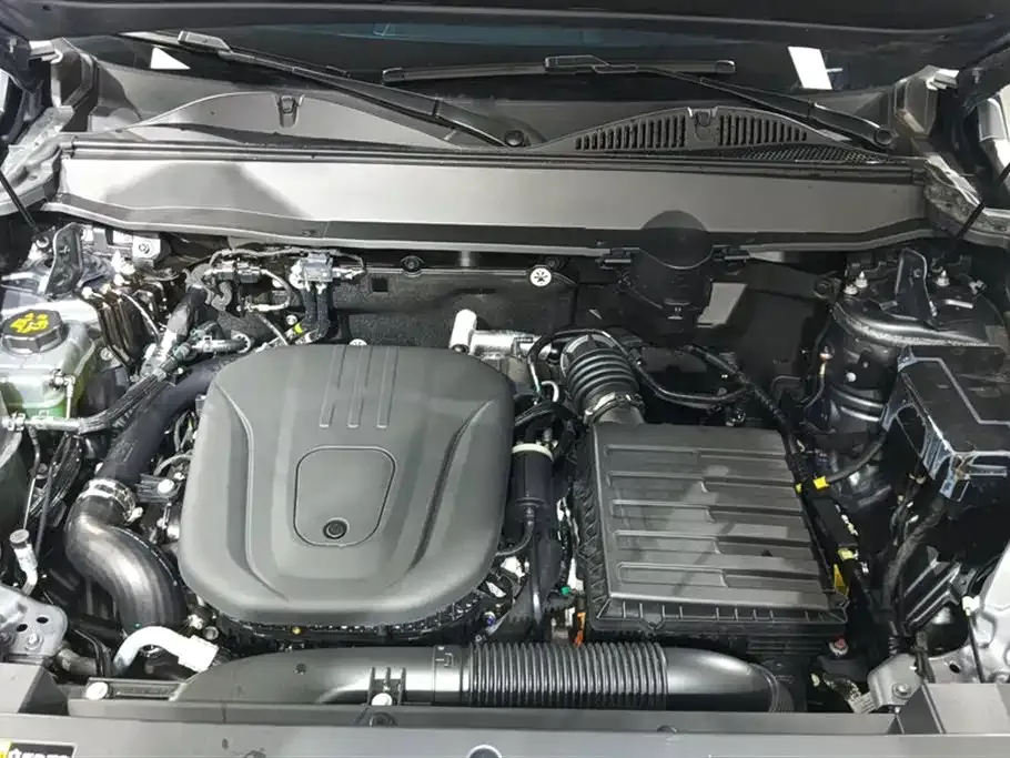 Haval Menglong New Energy 2024 из CN, фото 7