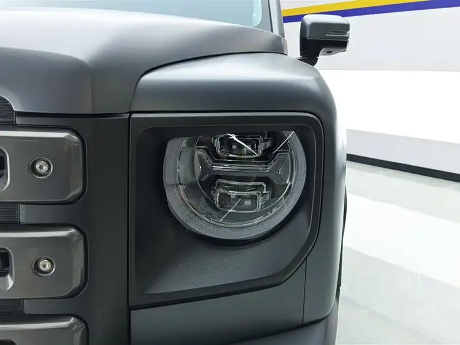 Haval Menglong New Energy 2024 из CN, фото 2