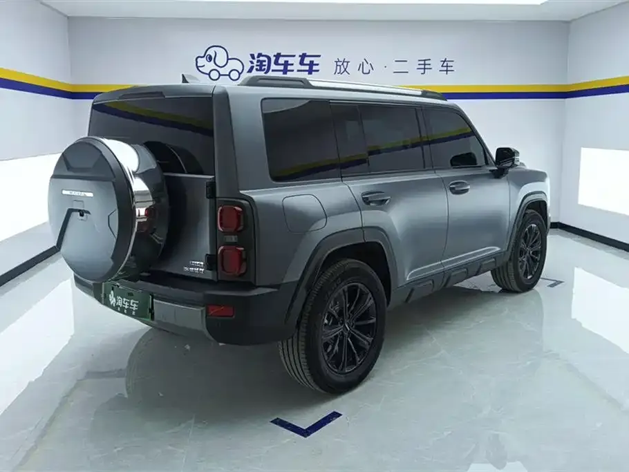 Haval Menglong New Energy 2024 из CN, фото 5
