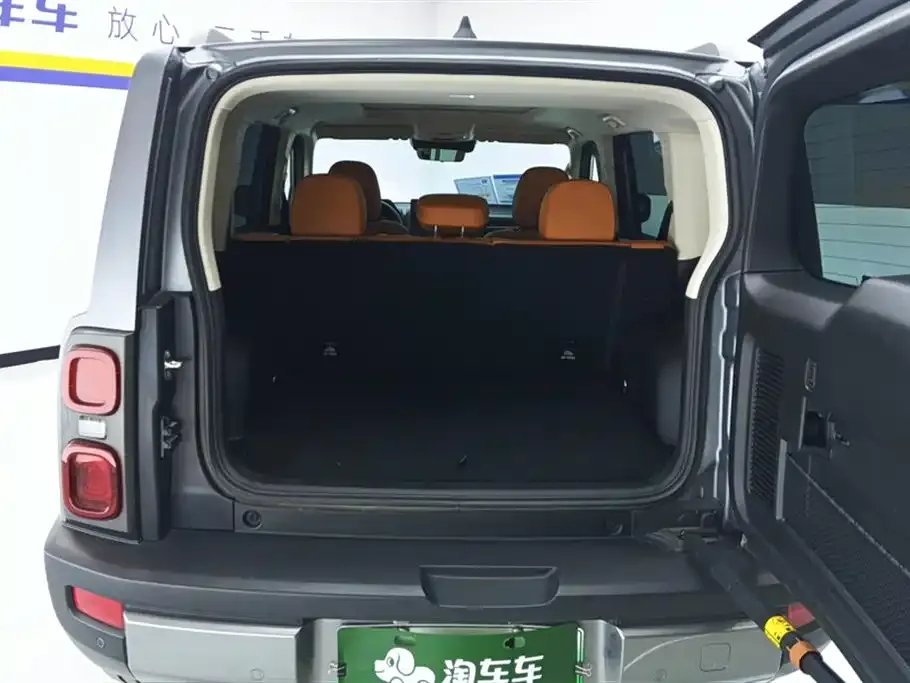 Haval Menglong New Energy 2024 из CN, фото 3