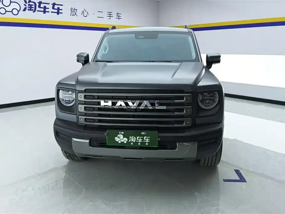 Haval Menglong New Energy 2024 из CN, фото 4