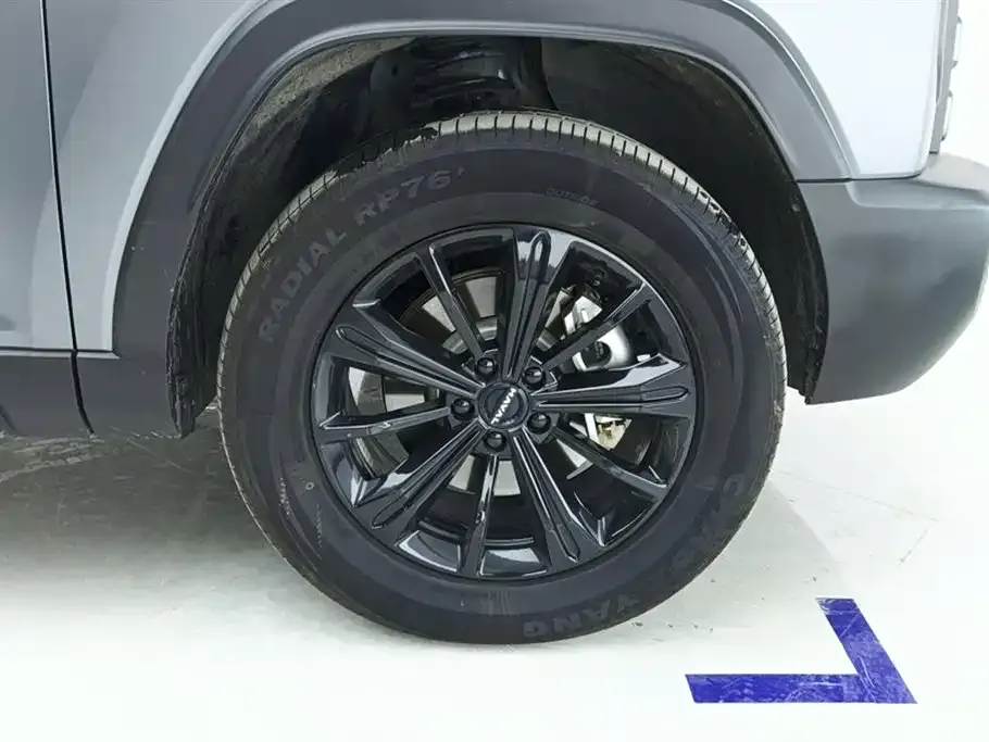 Haval Menglong New Energy 2024 из CN, фото 8
