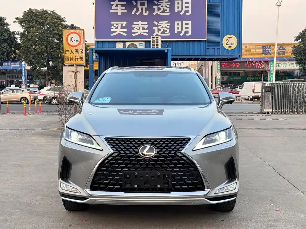 Lexus RX — фото 10