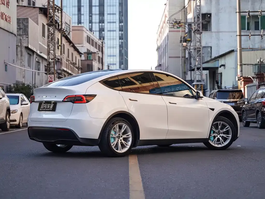 Tesla Model Y — фото 3