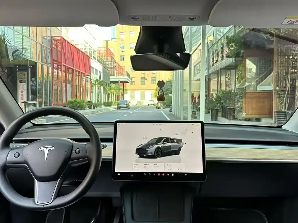 Tesla Model Y 2023 из CN, фото 6