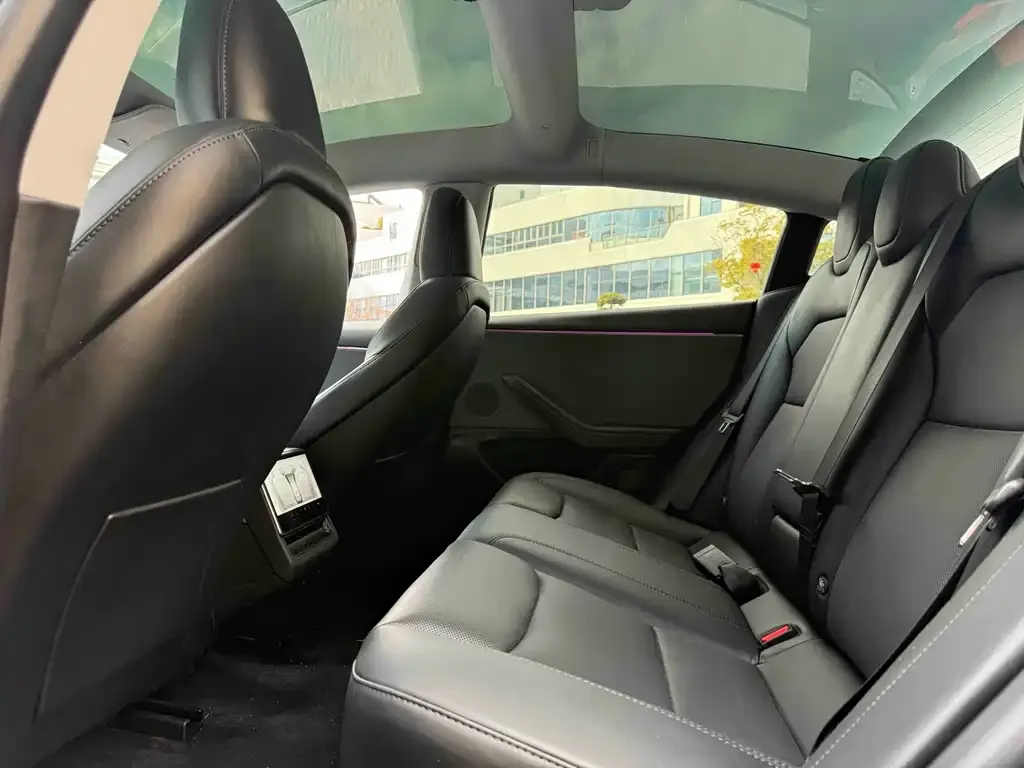 Tesla Model 3 2025 из CN, фото 6
