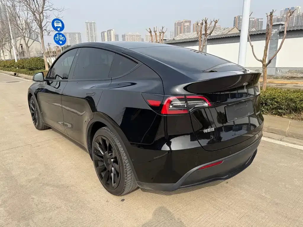 Tesla Model Y — фото 2