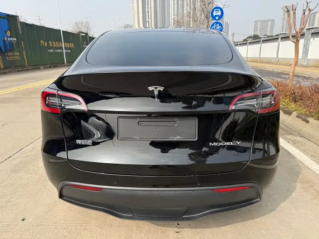 Tesla Model Y — фото 5