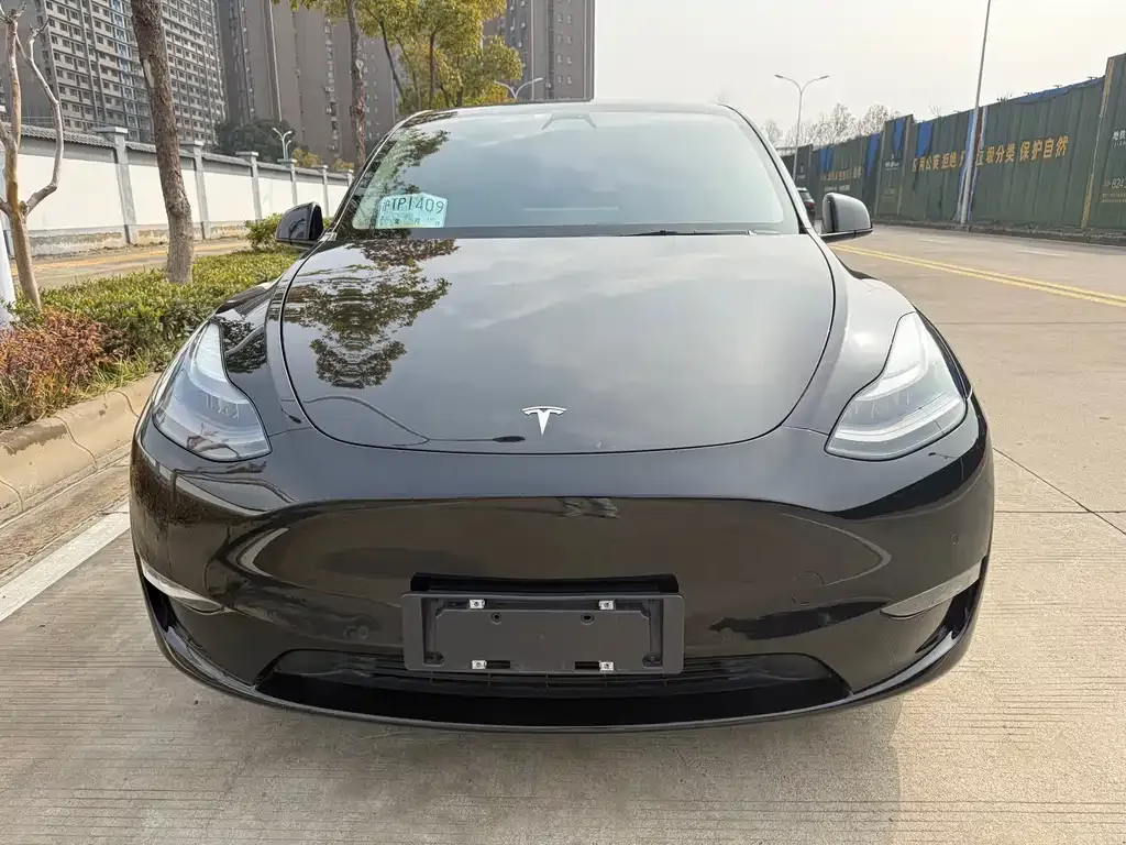 Tesla Model Y — фото 9