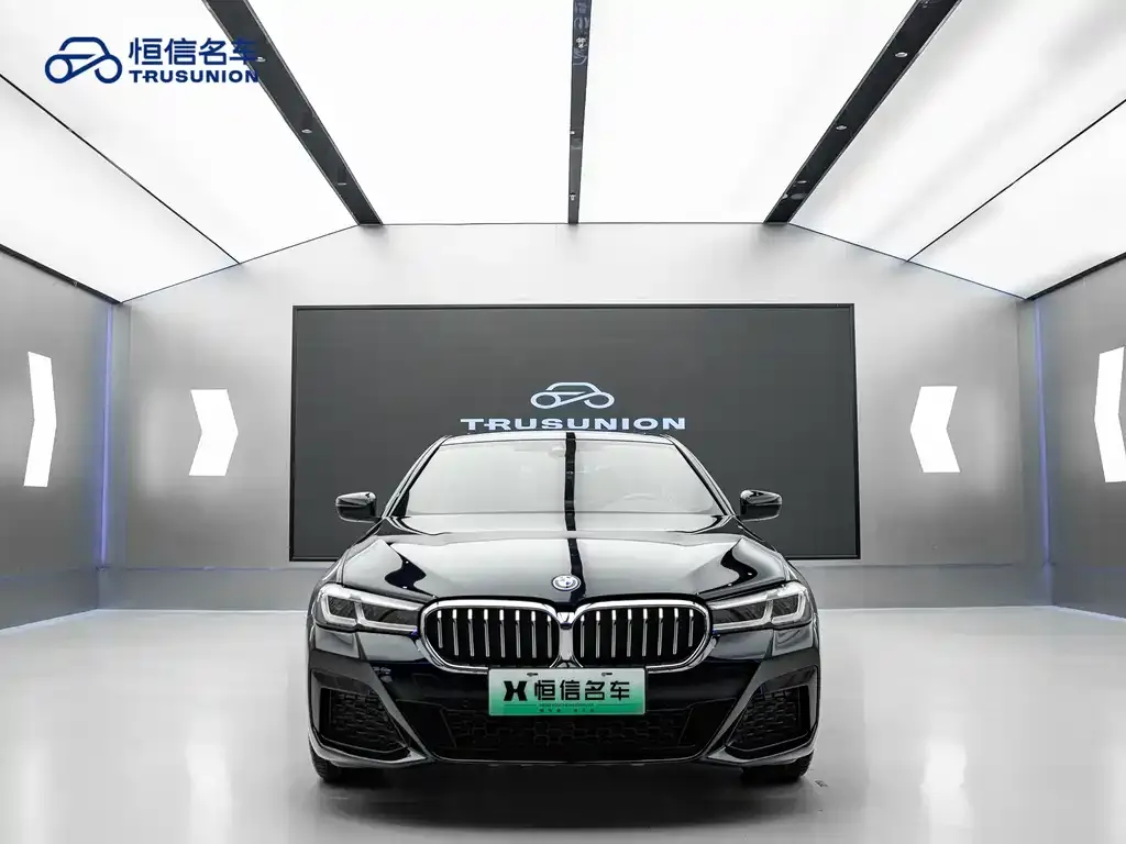 BMW 5 Series New Energy — фото 8
