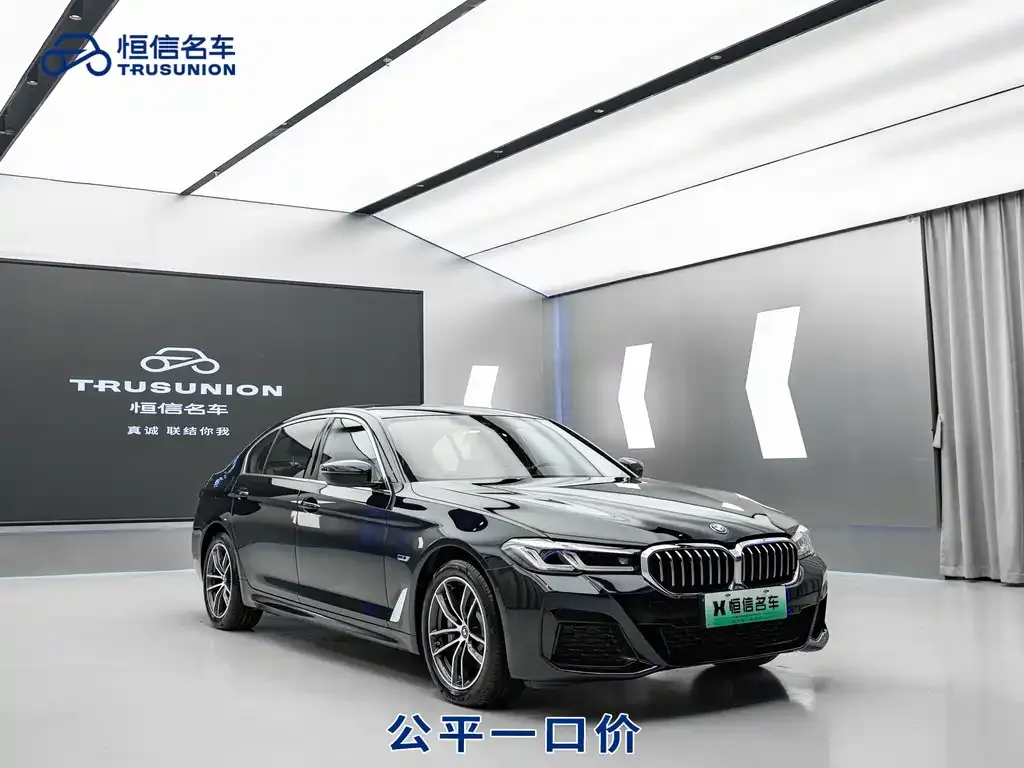 BMW 5 Series New Energy — фото 6