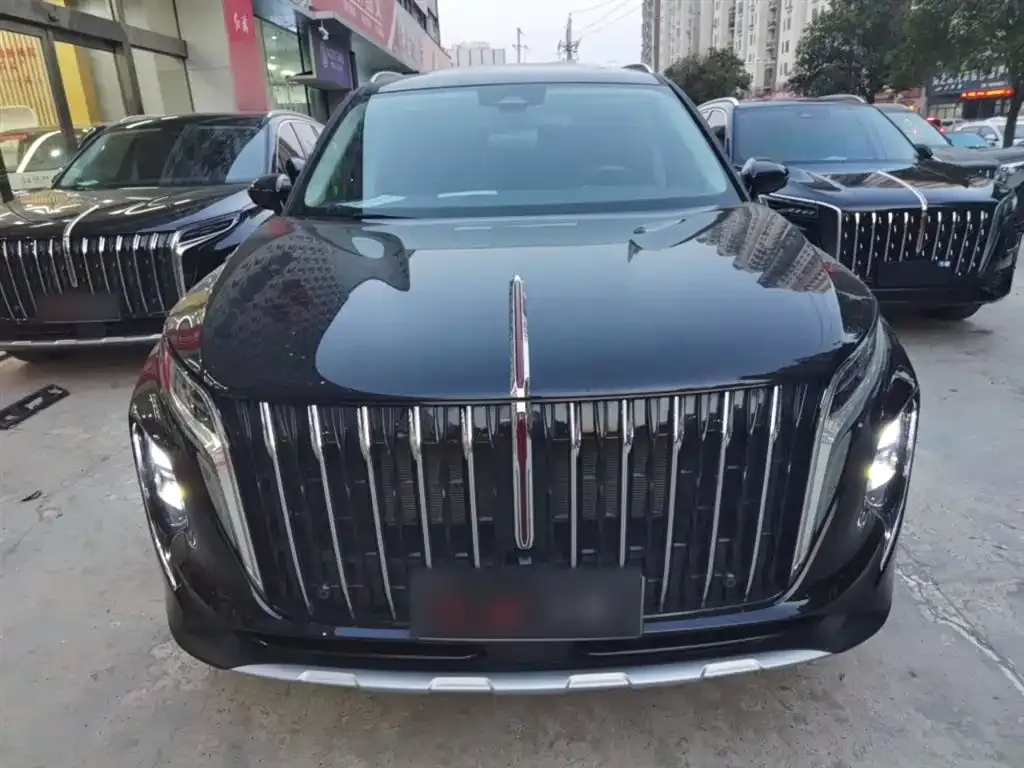 Hongqi HS7 PHEV 2024 из CN, фото 9