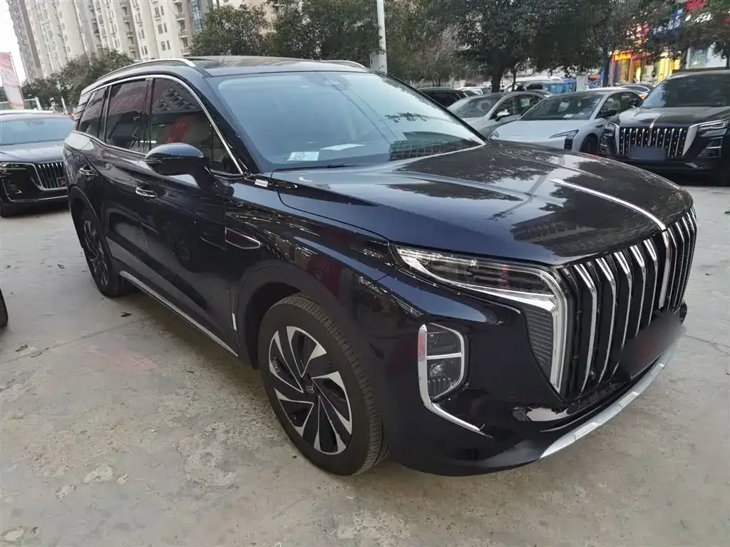 Hongqi HS7 PHEV 2024 из CN, фото 10