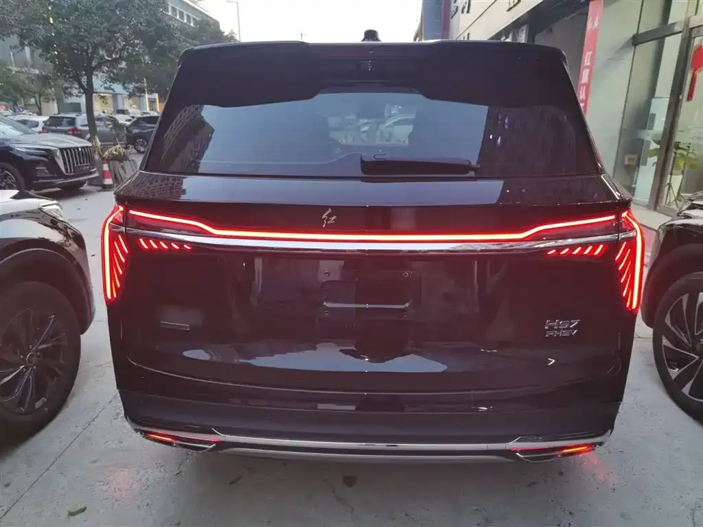 Hongqi HS7 PHEV 2024 из CN, фото 7