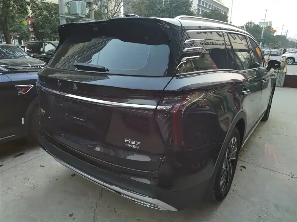 Hongqi HS7 PHEV 2024 из CN, фото 5