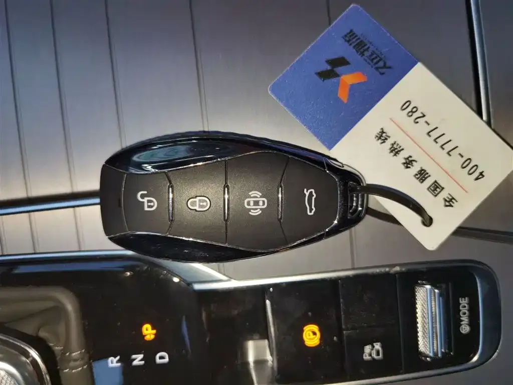 Hongqi HS7 PHEV 2024 из CN, фото 6